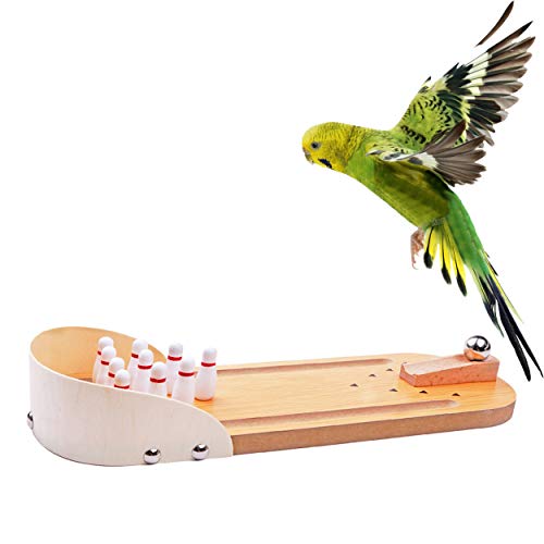 Table Top Mini Bowling Game Set - Tabletop Wooden Board Mini Arcade Desktop Tiny Bowling Shooting Alley Office Desk Stress Relief Gadgets Small Finger Toys Fun Gag Gifts For Men Adults Kids Teens Boys #TOP4