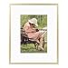 Frametory, Metal Picture Frame Collection, Aluminum Gold Photo Frame with Ivory Color Mat for Picture & Real Glass (8x10)