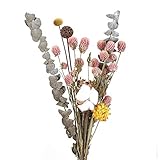 1 ramo de flores secas naturales, longitud total de unos 40 cm, con 2 hojas de eucalipto, 1 crisantemo, 1 algodón y algunos botones florales, sin spray de color artificial, puro natural.