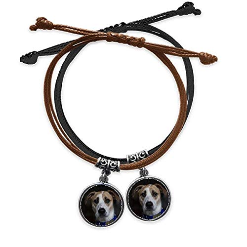 Chien animal de compagnie bracelet cuir double pour vos sorties quotidiennes