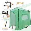 EAGLE PEAK 10x5 Portable Walk in Greenhouse, Pop Up Indoor Outdoor Greenhouse, Green House Kit with Zippered Roll-Up Doors and Windows, Lean-to Design, PE Cover, Clear/Green #5