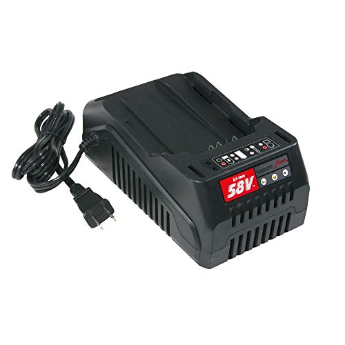 Mantis 3505 58V Battery Charger, Black