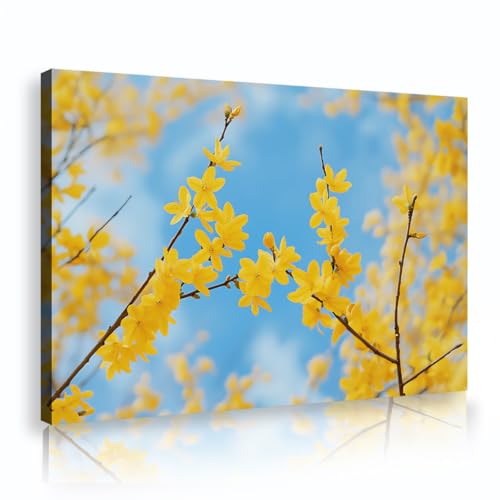 Tableau forsythia jaune 40x60cm pour illuminer et décorer votre salon printanier
