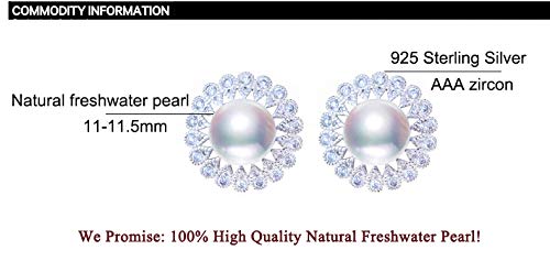 Pendientes de perlas de plata de ley con brillo de circonio 5