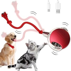 Interactive Dog Ball, Electric Dog Cat Toy Ball, Interactive Rolling Dog Ball with String, Interactive Cat Smart Ball Toy, Rolling Ball, Interactive Cat Ball Toy (Red)