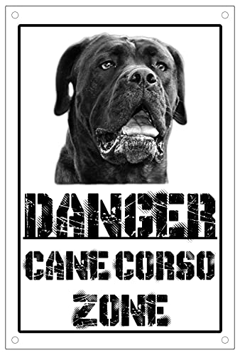 Danger BORDER COLLIE Zone - CARTELLO ATTENTI AL CANE In Adesivo Resist - 13