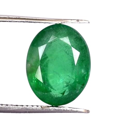 DENMOUS A++ �i�� �R�����r�A�G�������h�X�g�[�� �I���W�i�� 5.22 ���b�e�B 4.87 �J���b�g ����M���{�F�� ���[�X�v���V���X�p�i�W�F���X�g�[��-B0D1N97G-M1