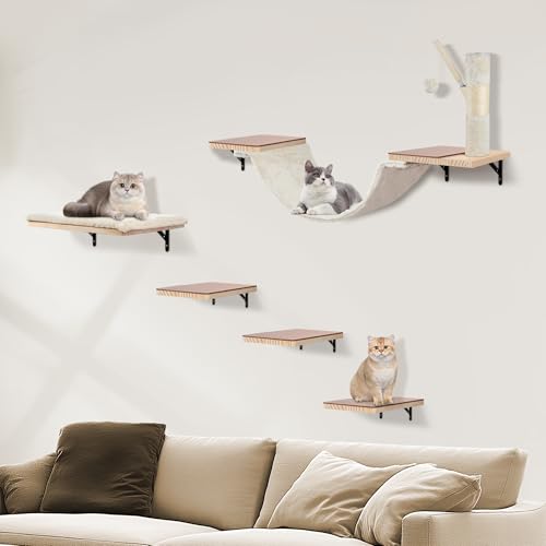 Katzen Kletterwand Set, Kletterwand Katzen aus Massivholz–mit Hängebrücke, Kratzbaum, Katzentreppe, Katzenliege und Hängeball, Filzpads...