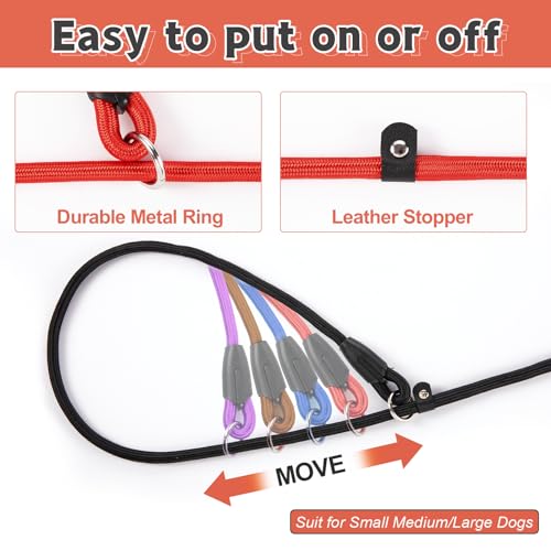 Pack of colorful reflective slip leads