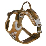 Hurtta Weekend Warrior Dog Harness, Desert, 16-18 in