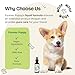 Anti-Diarrhea Liquid Drops for Dogs - Diarrhea Relief Drops - Fiber Supplements w/Psyllium Husk - Prebiotics for Dogs' Digestive Support - Dog Food Supplements for Firmer Stool & Gut Health - 2 oz