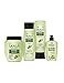 Produktbild Pack Skala Bomba Vitamina Abacate Shampoo 325ml + Condicionador 325ml + Máscara 1 kg + Creme de Pentear 250g