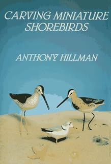 Carving Miniature Shorebirds - Buy now