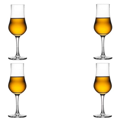 CGSLYLJ JNeOXA SubgA}eB[jOX AEBXL[Subg VpOXmXgAo[ALb`ɓKĂ܂(B-4*120ml)