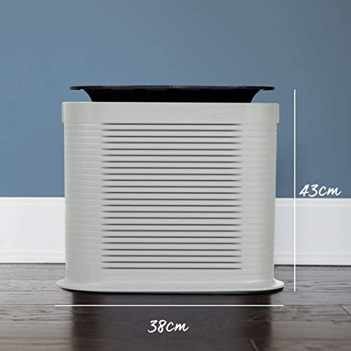 HoMedics AR-10A-GB Air Purifier for Home, Air Filter Cleaner with HEPA filter, Eliminates 99.97% of Allergens, Bacteria, Viruses and Pet Dander, Relieves Asthma, 3 Speeds For Better Sleep, Ultra-Quiet