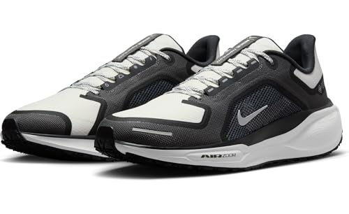 Nike Men's Pegasus 41 Gore-tex Sneaker2