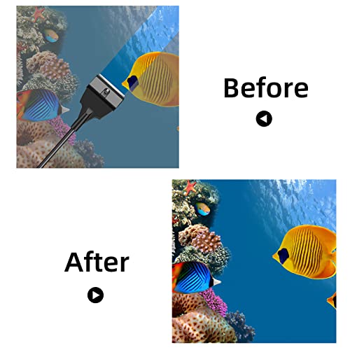 Sy.doot Aquarium Algae Scraper,Fish Tank Algae Scraper With Segmented Extension Rod,Aquarium Scraper,Aquarium Cleaning Tools Kit, Fish Tank Cleaner With 5 Stainless Steel Blades,21.65 Inch #TOP4