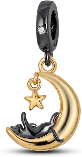 TINSLO Pulsera clásica con dije para mujer colgante de plata de ley 925 regalo con cuentas se puede combinar para mujeres y niñas Plata esterlina