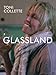 Glassland