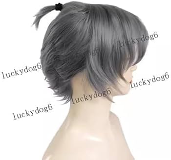 Amazon.co.jp: 忍たま乱太郎 綾部喜八郎 コスプレウィッグ, 耐熱