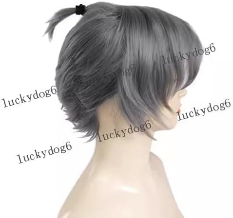 Amazon.co.jp: 忍たま乱太郎 綾部喜八郎 コスプレウィッグ, 耐熱かつら