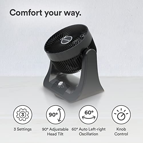 Everdure 9” Oscillating Desk Or Table Fan, 3 Speed Settings, Targeted Airflow Control, Low Noise, Portable, Personal Fan, Perfect Cooling Fan For Bedroom, Living Room, Home Office, White #TOP1
