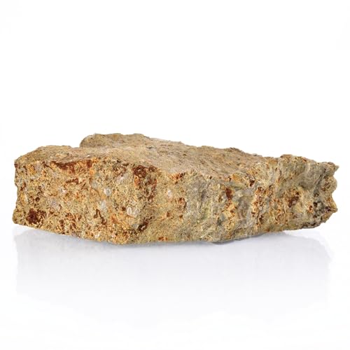 Image of Eisco Fossiliferous Limestone Rock Specimen, Visible Fossils, 3 inch Sample
