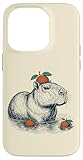 Capybara mit Orange auf dem Kopf Capybara Capy Hülle für iPhone 14 Pro