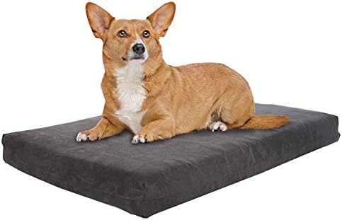 Pet Support Systems All Season Orthopedic Gel Memory Foam Dog Bed | Supreme Luxury Comfort and Care for Dogs, Removable and Washable Cover | Medium Grey Plush Mico-Suede