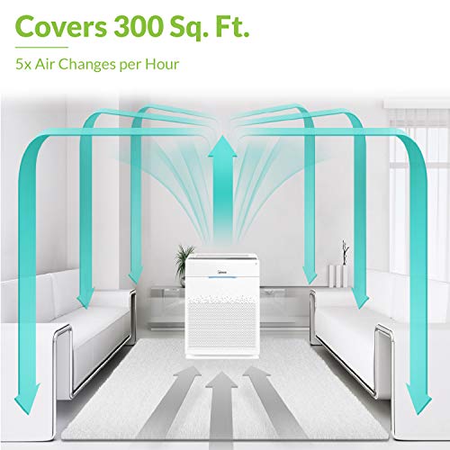 Winix HR900, Ultimate Pet 5 Stage True HEPA Filtration Air Purifier, 300 Sq. Ft, White