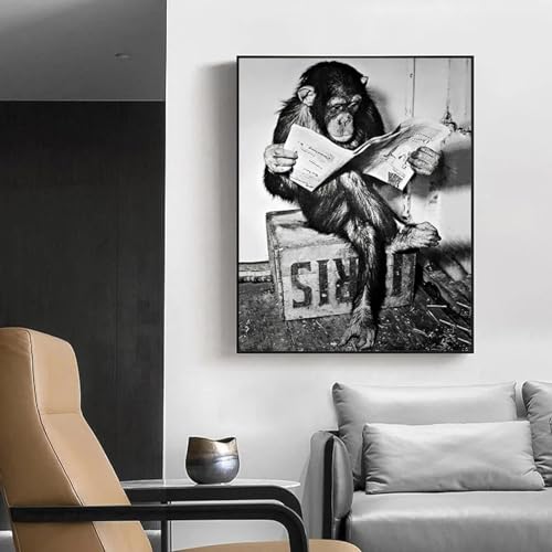 Affiche drôle chimpanzé lisant tableau noir et blanc décoration maison