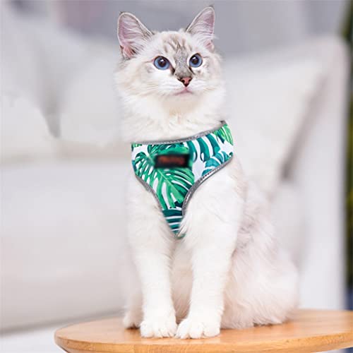 Oddychająca kamizelka z nadrukiem Odblaskowa kamizelka dla psa Puppy Małe i średnie kamizelki dla psa Walking Pet Accessories