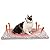 MORA PETS Cat Bed Self Heating Pet Pads Dog Blanket Ultra Warm Self Heated Cat Dog Bed Pet Thermal Mat Reversible Helps with Arthritis 70 x 47 cm