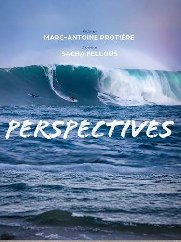  Perspectives