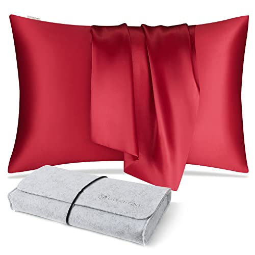 DISANGNI 100% Natural Mulberry Silk Pillow case for Hair and Skin with Hidden Zipper 22 Momme Both Sides Real Silk Pillow Case (1pc 50x75cm