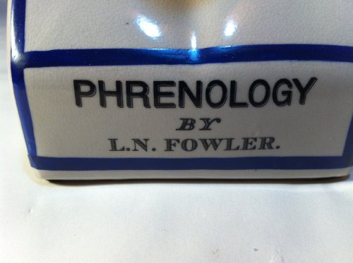 Clever-Deko Phrenologia testa phrenologica in