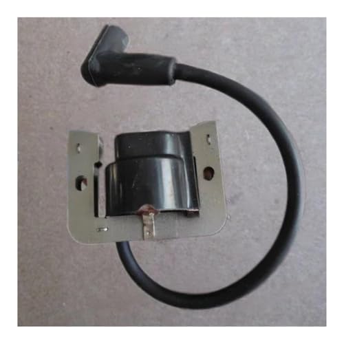 Bobine d'allumage induit moteur essence de rechange pour pièce 2558414