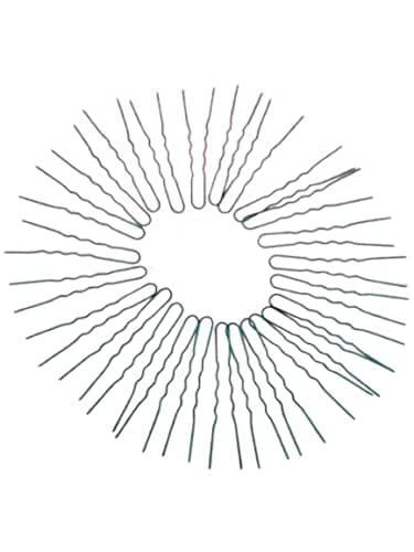 Hijet25 Pcs Super Black U Hair Zig zag Pins For Hairstyle Hair Decorative Making Bun For Women's