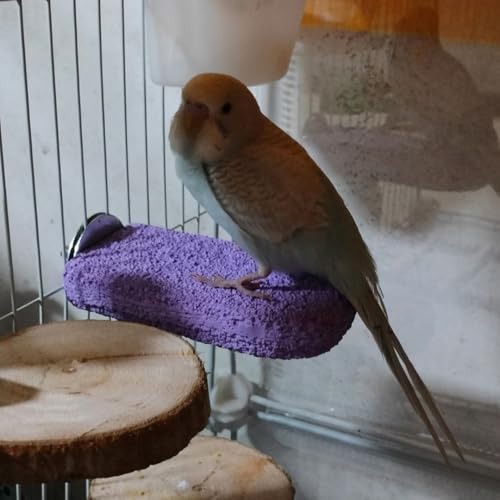 Image of Bird Perch Grinding Stand - Ideal for Small & Medium Birds Like Parrots, Budgies, and for Chinchillas, Hamsters. Great for Beak & Teeth Grinding, Climbing & Jumping (Purple, L)