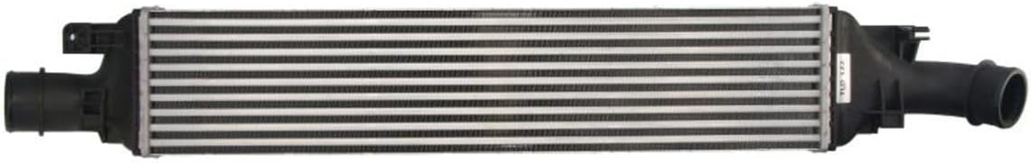 Thermotec DAA030TT - Intercooler, heat exchanger