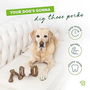   Benebone-2-pack-WishboneDental-Durable-Dog-Chew-Toys-Dog-Toys-for-Aggressive-Chewers-Real-Bacon-Made-in-USA-Medium