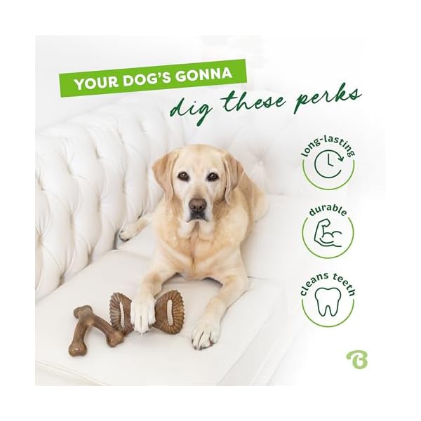   Benebone-2-pack-WishboneDental-Durable-Dog-Chew-Toys-Dog-Toys-for-Aggressive-Chewers-Real-Bacon-Made-in-USA-Medium