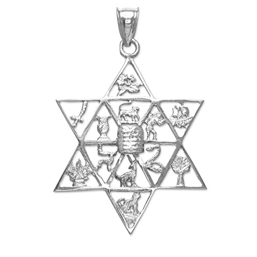 Claddagh Gold - Fine 925 Sterling Silver Jewish Star of David Charm 12 Tribes of Israel Pendant