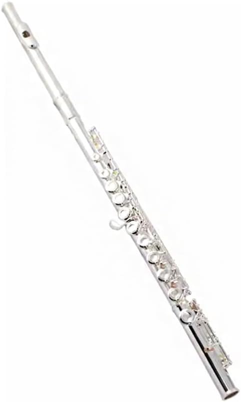 GAGALU Beginner's Grade Examination Flute, 16-Hole Clarinet, Wear-Resistant and Easy-to-Use Leather Pad, Mellow Tone, C Key with E Key