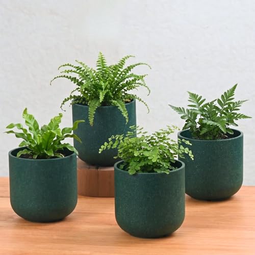 Image of Eha Earth-Friendly Terrapod Planters for Home Decor | 3.5 Inch, Pack of 4 | Small Plant Pot Made with Rice Husk Biocomposite | Flower Pot for Living Room | Fern