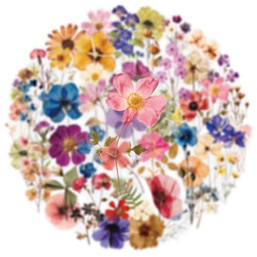Image of 50PCS Transparent Flora Scrapbook Stickers, Vintage Aesthetic Flowers Sticker for Scrapbooks Travel Journal, Vinyl Waterproof for Water Bottles Laptop Phone Scrapbook Supplies DIY Crafts (Flower-B)