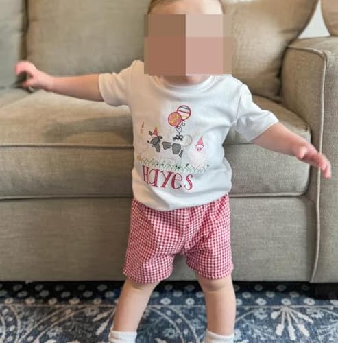 Karuedoo Toddler Baby Boy Girl Shorts Gingham Plaid/Seersucker Shorts Summer Casual Elastic Waist Shorts Pants Bottoms2