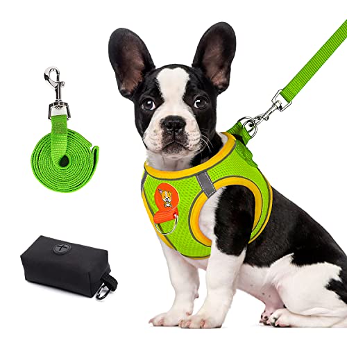 PETLOFT Harnais pour Chien avec Laisse et Pochette, Pas de Traction, Pas D'étouffement, Gilet pour Chien de Petite Taille (Jaune, M) Cover