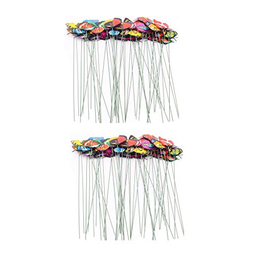 American Specialty Strawberry Firepit Glass Medium 10 Lb Bag