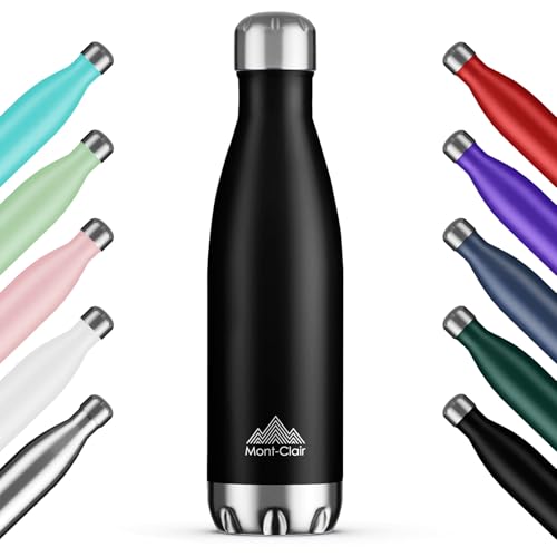 H2O Stainless Steel 17oz